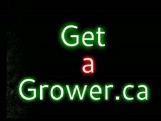 Compassion clubs are a rip off, get a designated grower and get your supply for free!