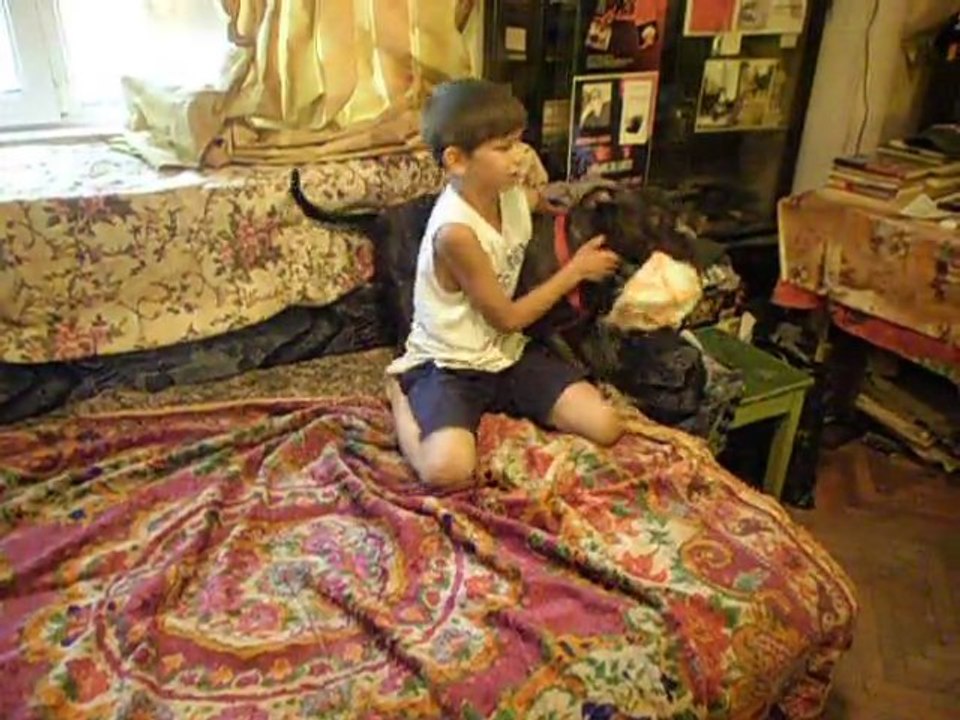 Little boy with Pitbull.