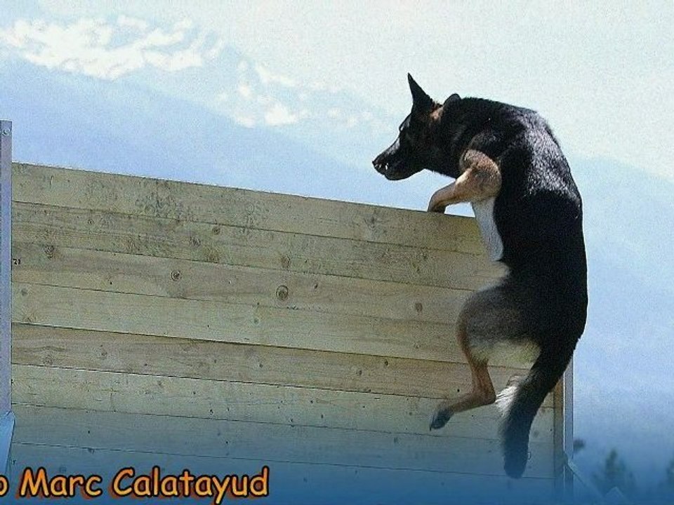 Balzan à Albertville