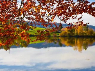 ÖZCAN TÜRE-ÖTME TURNAM