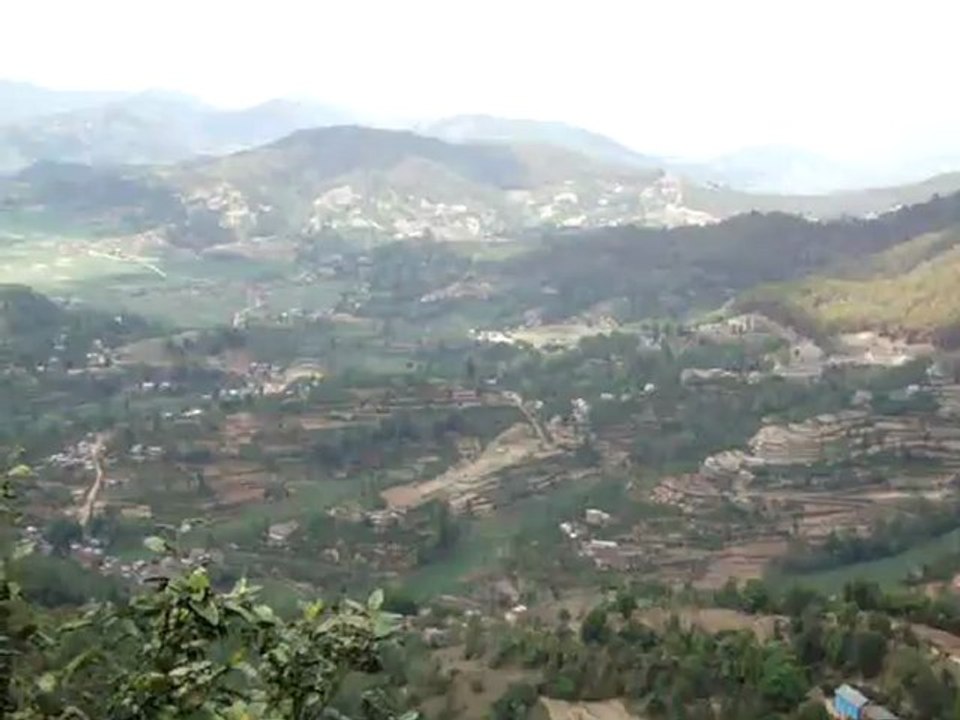 MOV08037