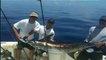 Fishing, Florida Keys | Islamorada, Islamorada Fishing Charters.