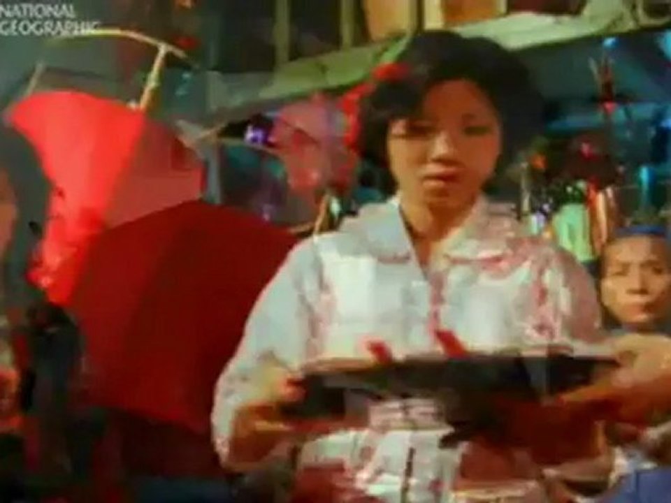 Das Ich Bewusstsein von Affen 2/2