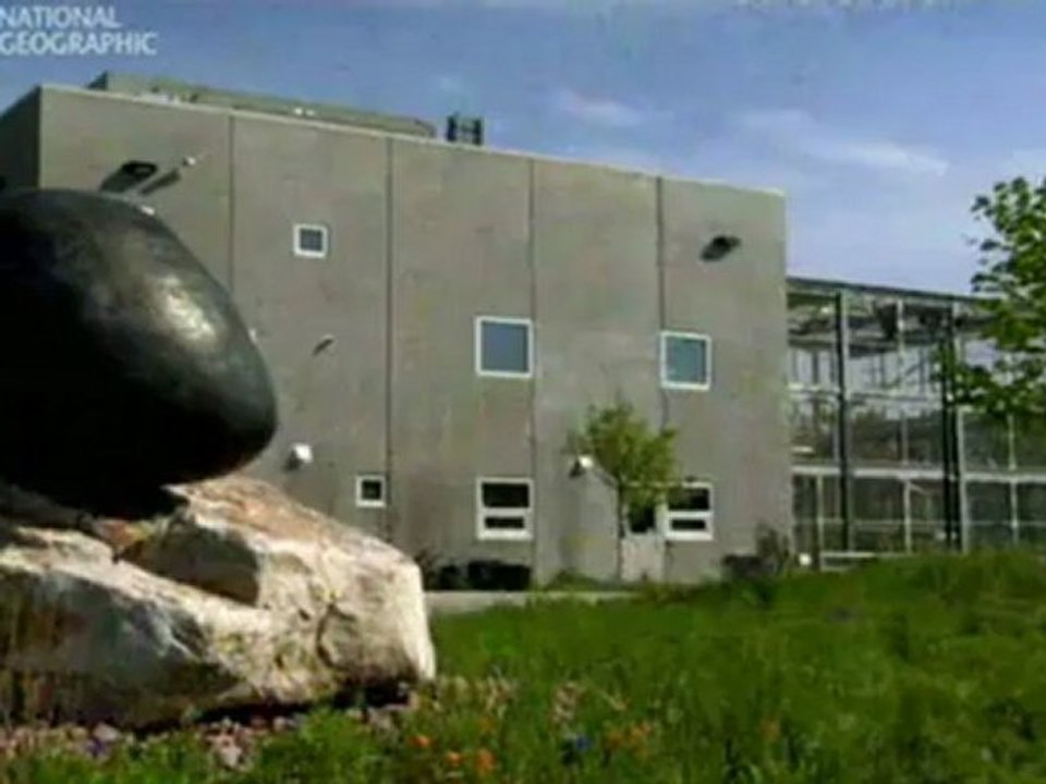 Das Ich Bewusstsein von Affen 1/2