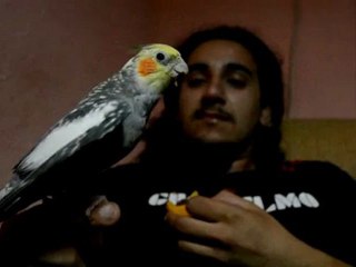 18.07.2012 Garip Fener Marş