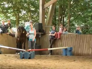 Spectacle indien 30 juin 2012