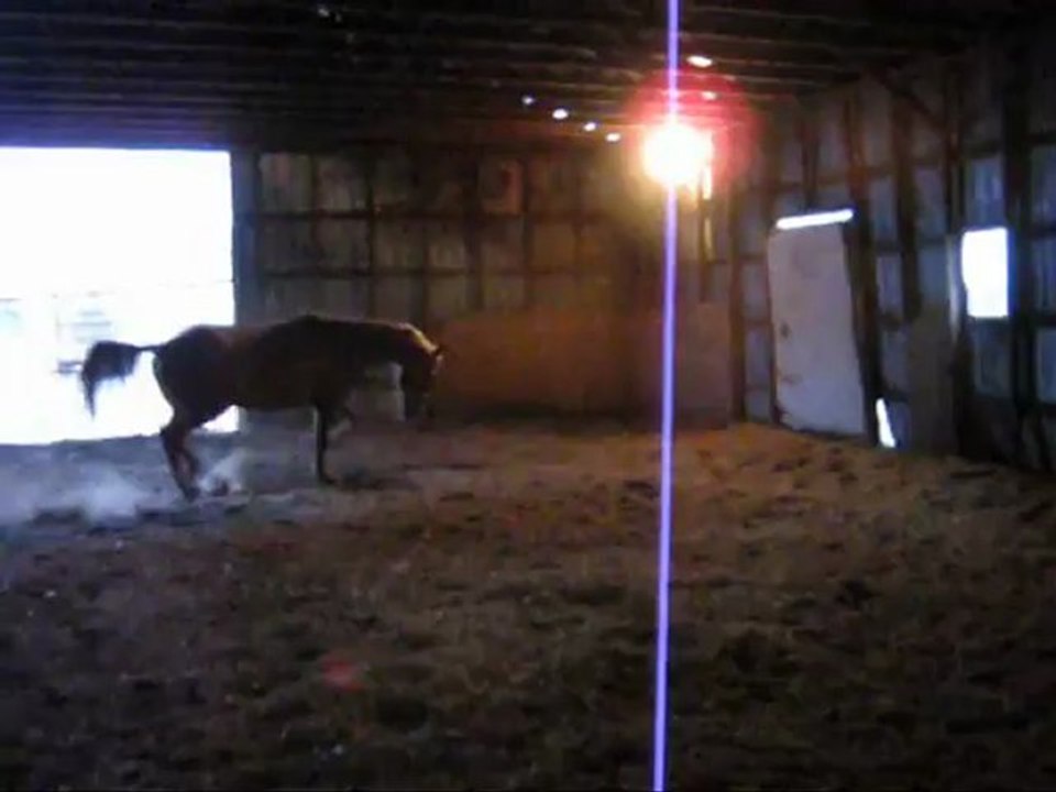 début de vidéo_0001