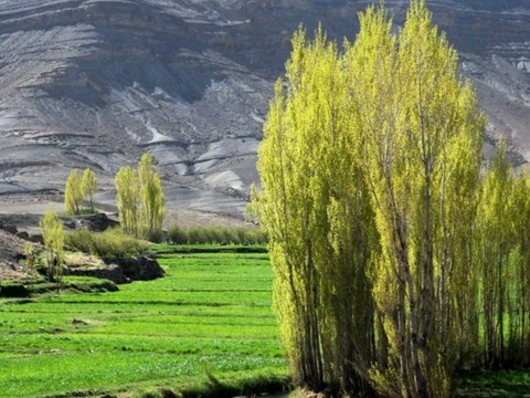 Séjour Berbère en Famille - Voyage en famille - Séjour-dans-une-famille-berbère - Maroc
