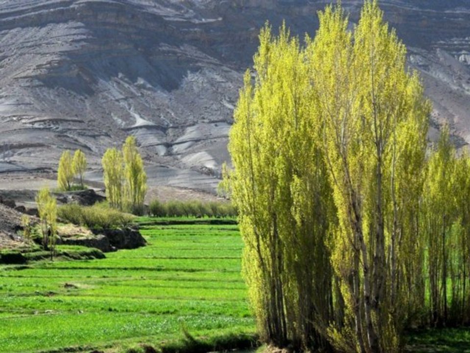 Séjour Berbère en Famille -  Voyage en famille - Séjour-dans-une-famille-berbère - Maroc