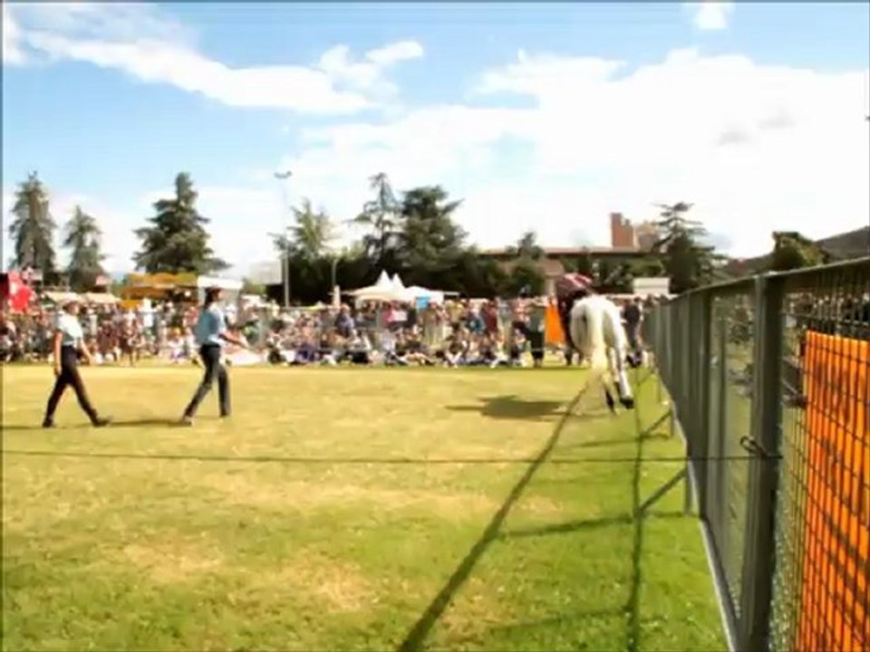 Spectacle Festival Country Mirande. (1ere sortie en spectacle)