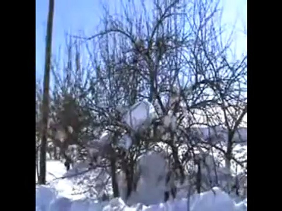 yüce dağ başında bir yavru ceylan