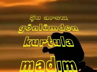 Aydogan Tayfur  tövbe  ( Kadir Mevlam) www.gelresule.tr.gg