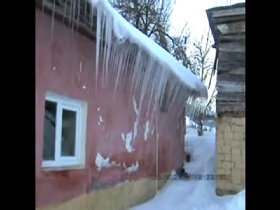 ömür sanki bir kuş gibi