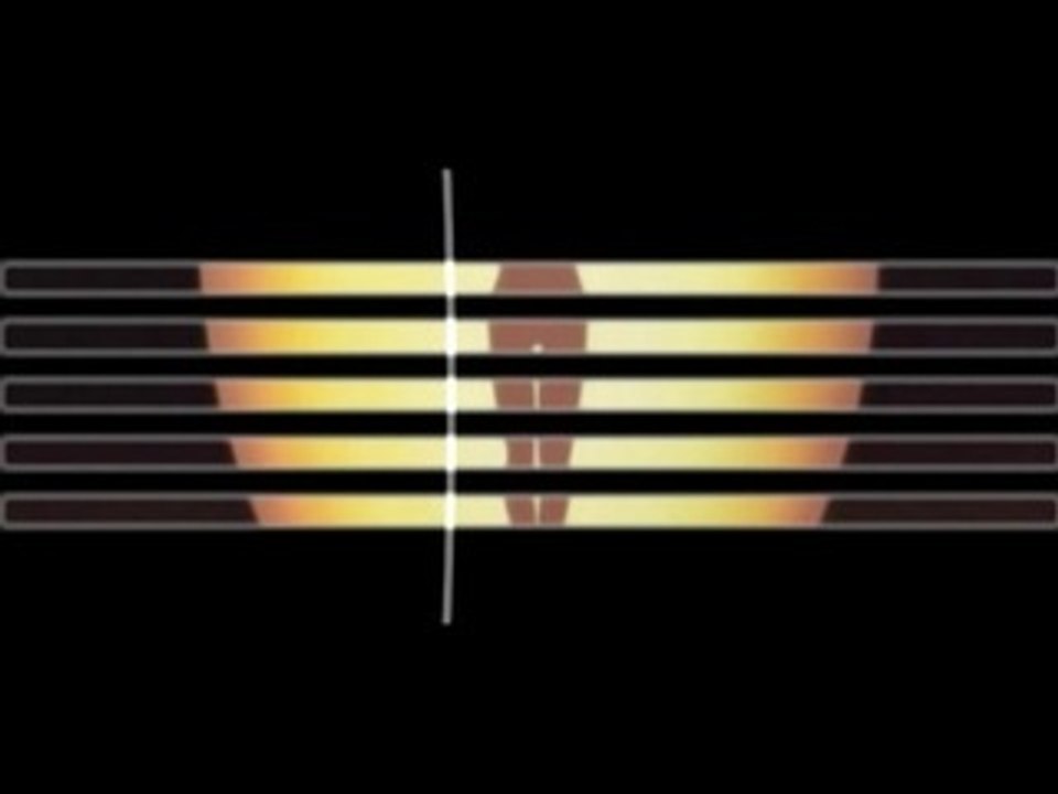 Rahxephon - Euphoria