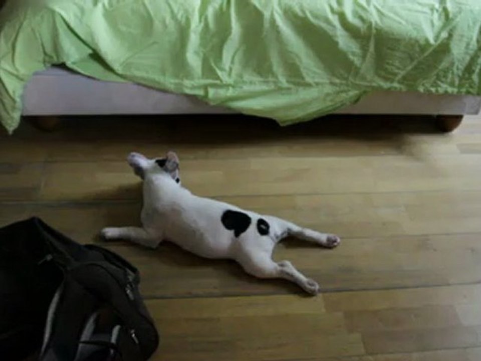 après avoir fait la folle je tombe épuisée 15 juillet 2012