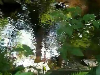 Mixed media - MP4 vs AVCHD