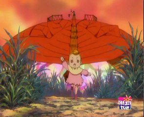 Mushiking cap 30 Bosque de ideales