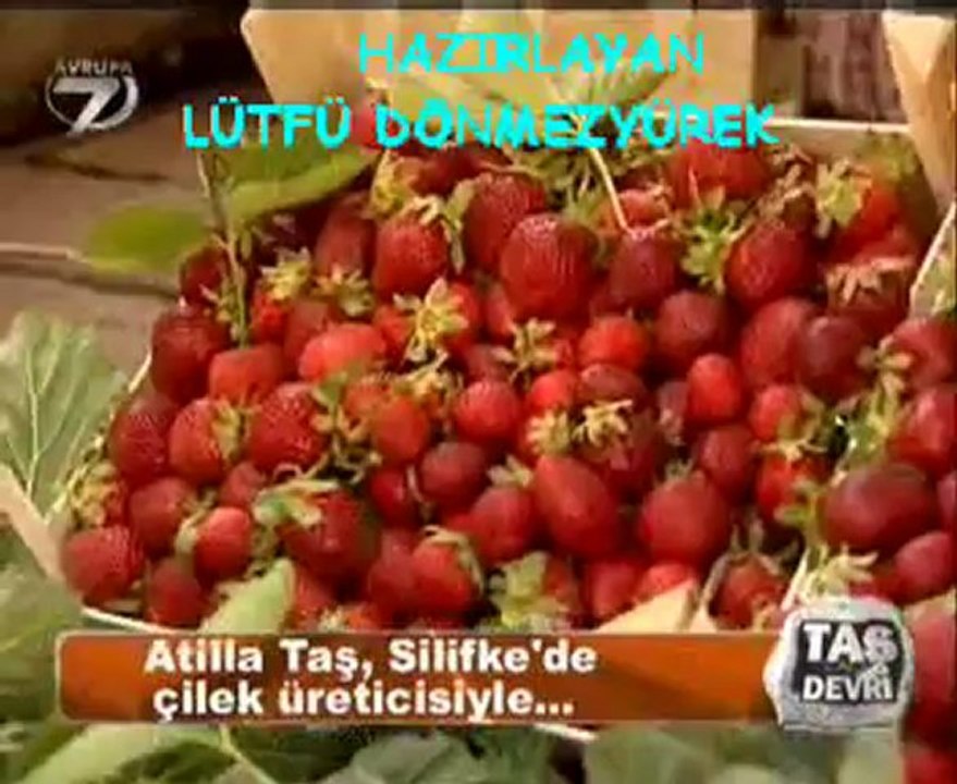 Atilla Taş Devri silifke bölüm 2-kayit lütfü dönmezyürek