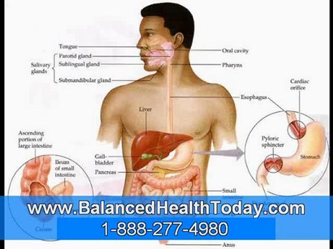 Gallstones, The Gallbladder, Bile, Formation Of Stones Part 1