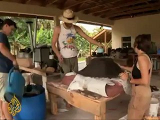 Florida farm works to curb hunger