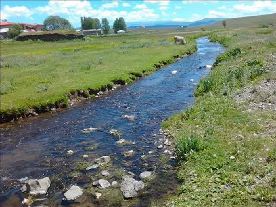 SALİM DEMİR YAYINLARI