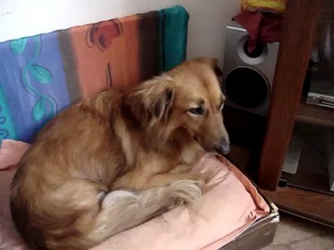 Vous habitez chez des AMIS ? heu ... non ... j'dirais plutôt chez des ANIS