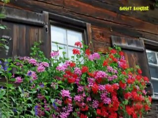 Zara - Ne Sevdiğin Belli Ne Sevmediğin