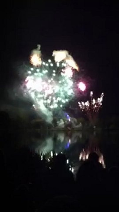 Feu d'artifice à Arques-la-Bataille