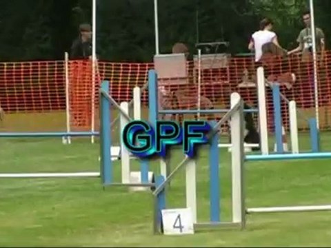 1er Concours d'agility Eagle Messimy/Saône.