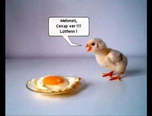 Gülmek İstiyorsan Video'yu İzlemen Yeterli (: