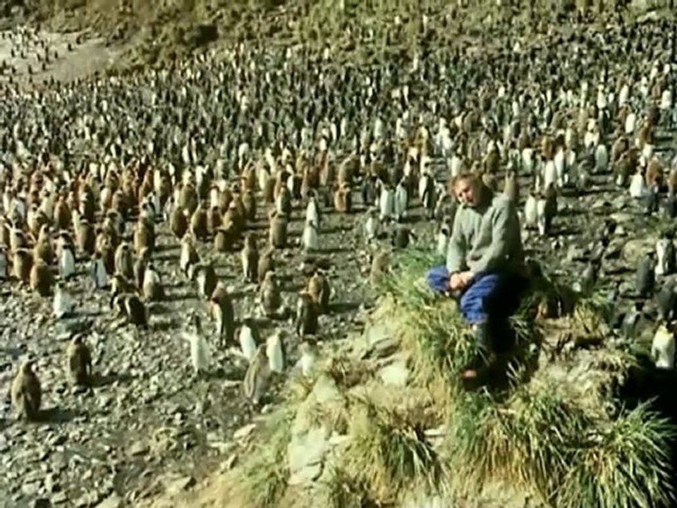 Fagy világa  -  David Attenborough: Élő bolygó 2/13
