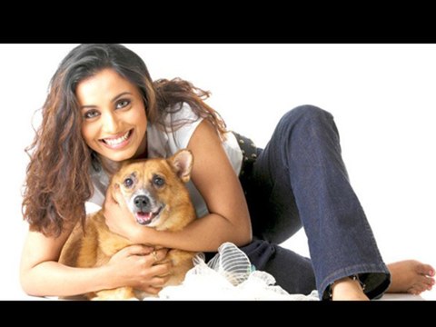 Rani Mukerji Finds Her New Love- Bollywood Gossip