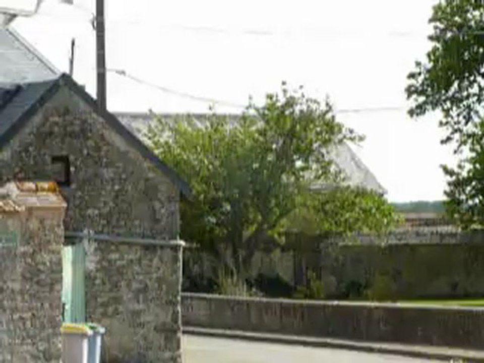 Hermione Jack Russel 2mois1/2 En route pour la maison