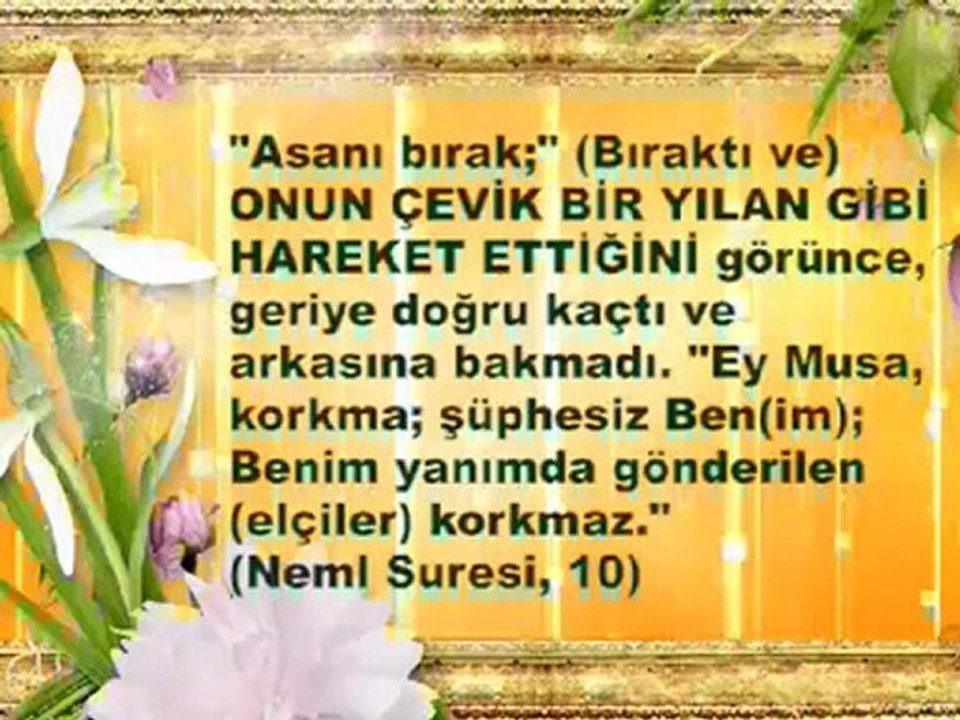Islam'da Evrim Yoktur