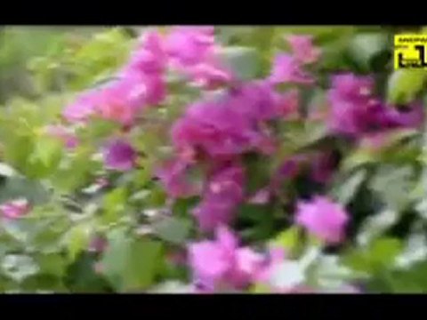 Sabina Yasmin- Ei Mon Tomake