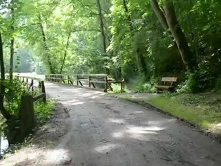 Pont en bois après Rothenbourg