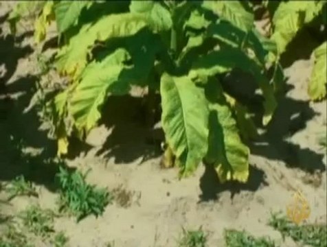 محطة فوكوشيما النووية المعطوبة