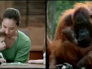 The world is where we live (WWF)