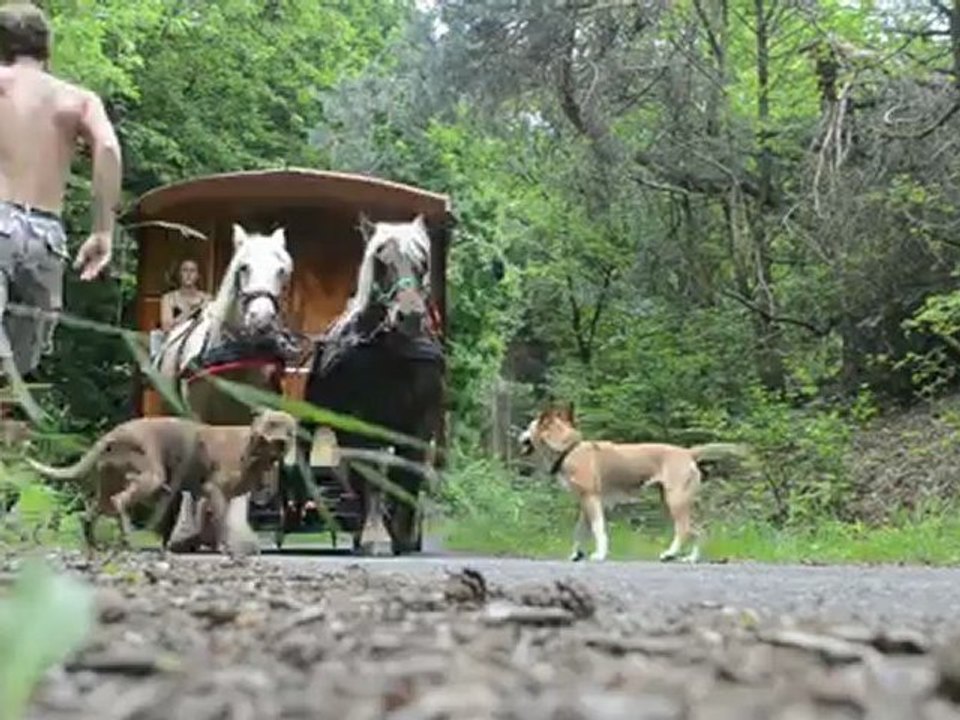 P'tit tour en forêt
