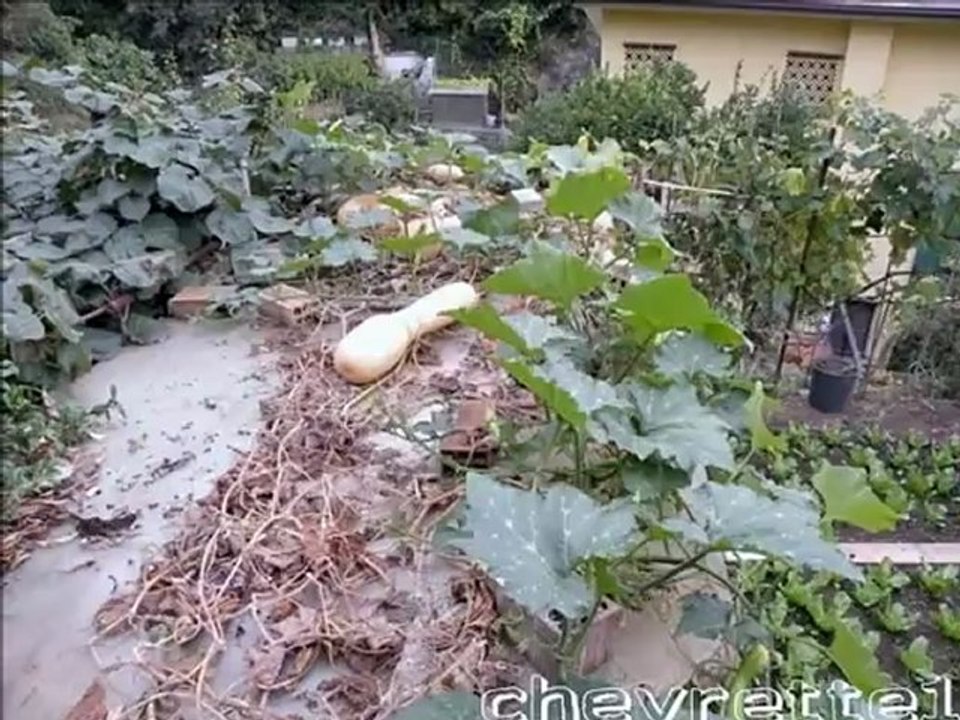 Arrivée en Italie