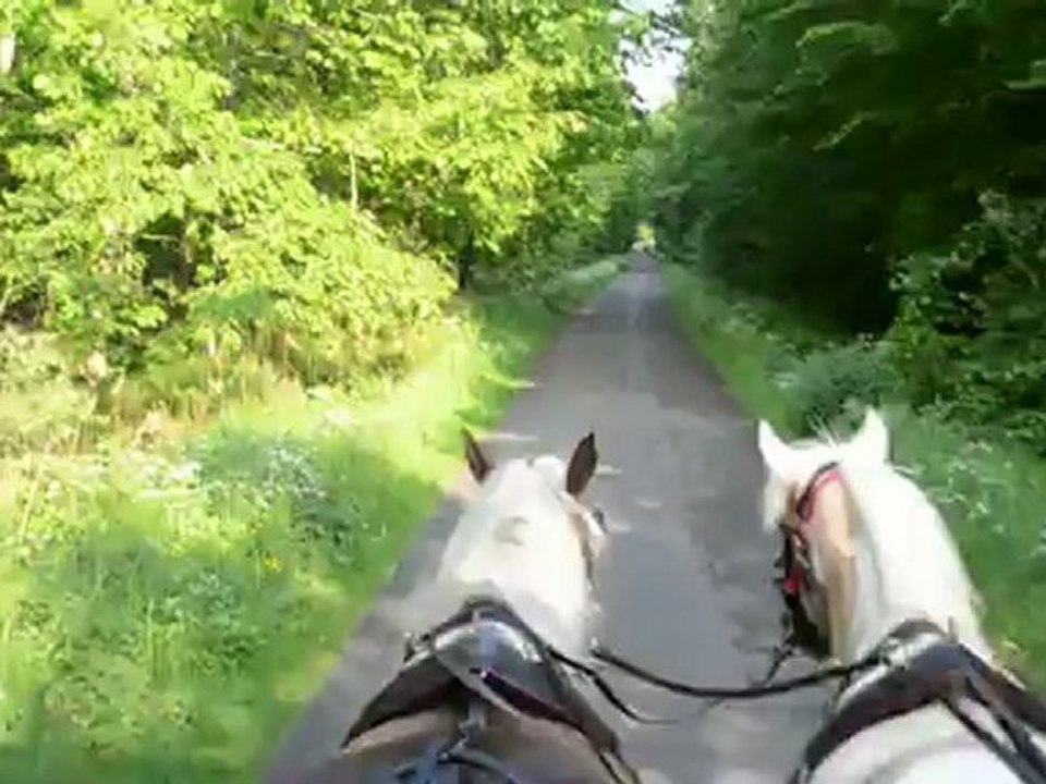 Un p'tit trot en Alsace avant Kulhendorf