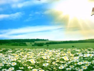 Risale-i nuru yanlış yorumlayan kardeşlerimize sorun-1