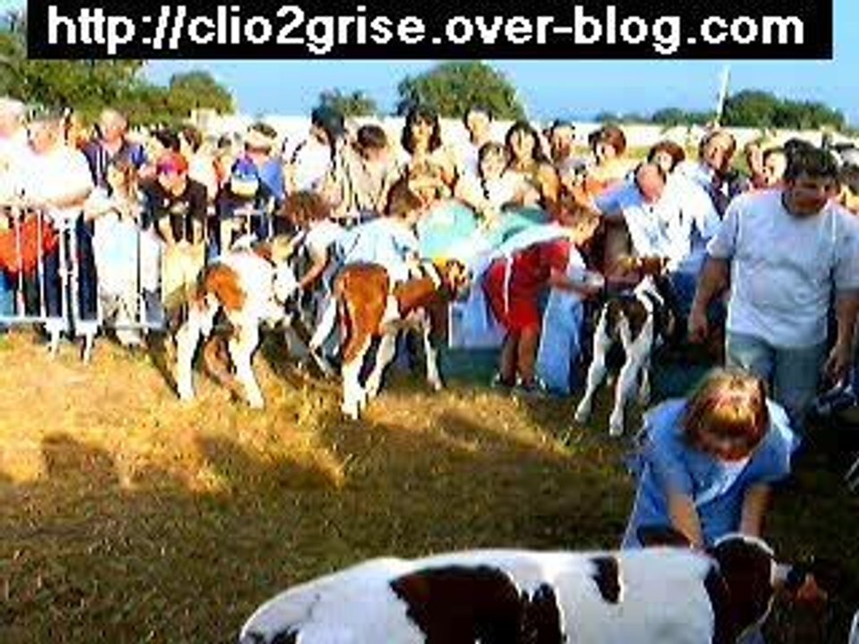 concours de têtée à Jebsheim(68)