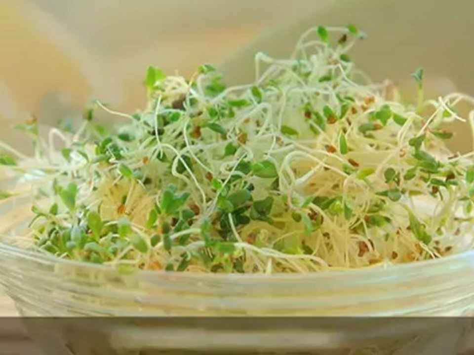 10 Reasons You Need an Alkaline Diet Plan Today