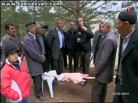 Bekir Develi - Gez Göz Arpacık - Ladik/Ahmetsaray-Orman Kebabı