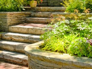 Action Lawn Care (704) 560-0052