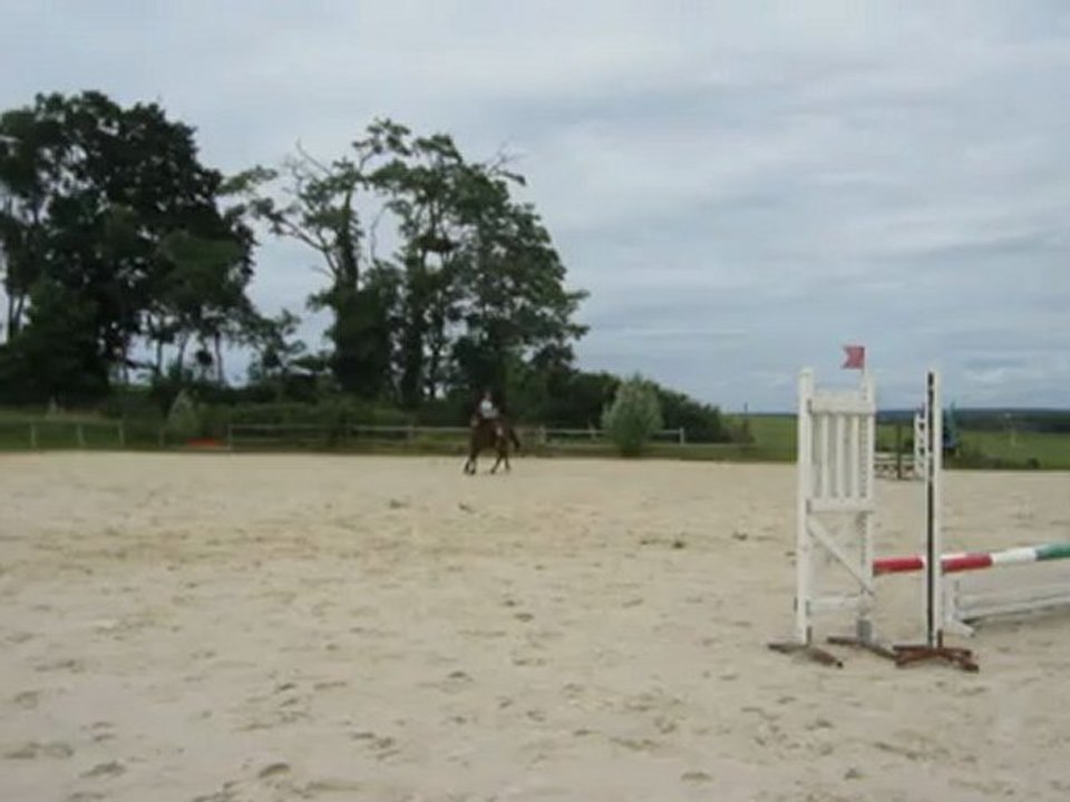 MVI_0330
