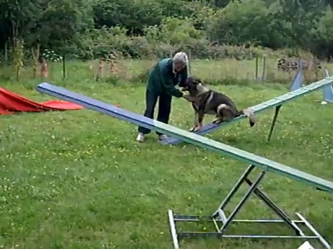 Glück du Domaine de Kilorff, en apprentissage, en agility le samedi 14 juillet 2012