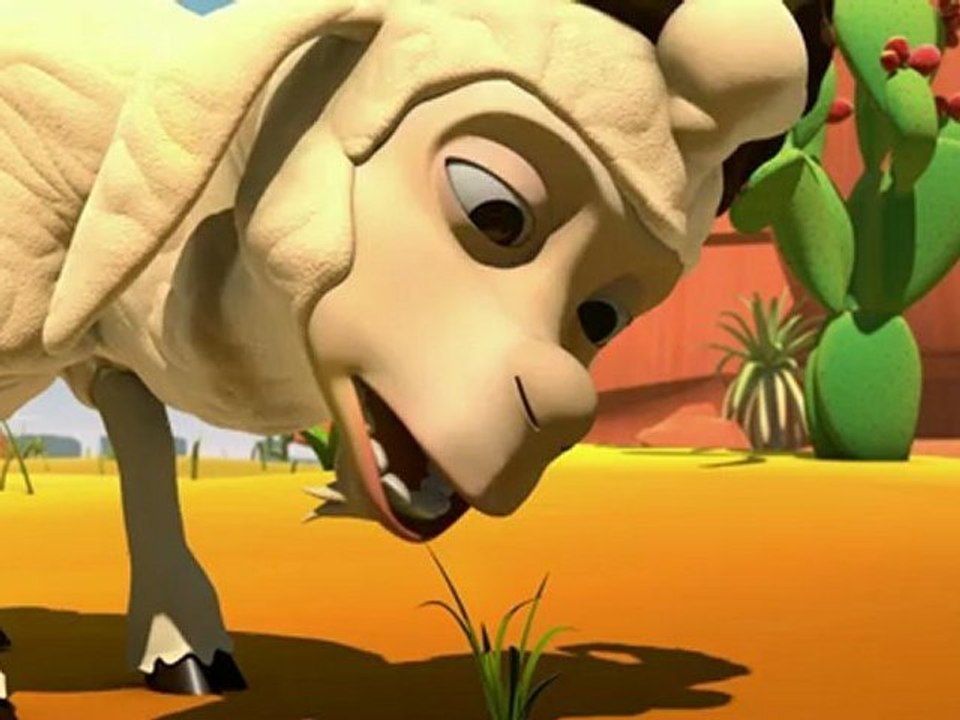 Lasso and cactus
