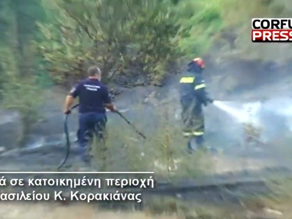 Fotia-korakiana1